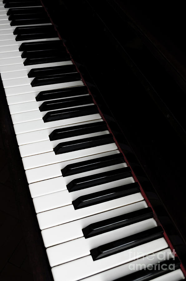 Piano #1 Photograph by Jelena Jovanovic