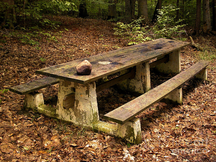 Picnic Table at Chestnut Ridge Park #1 Photograph by Tom Brickhouse