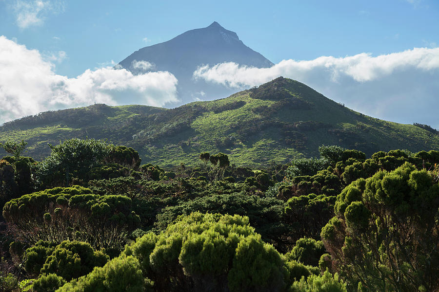 Pico Mountain  Pico Island, Azores #1 Photograph by Carl Bruemmer