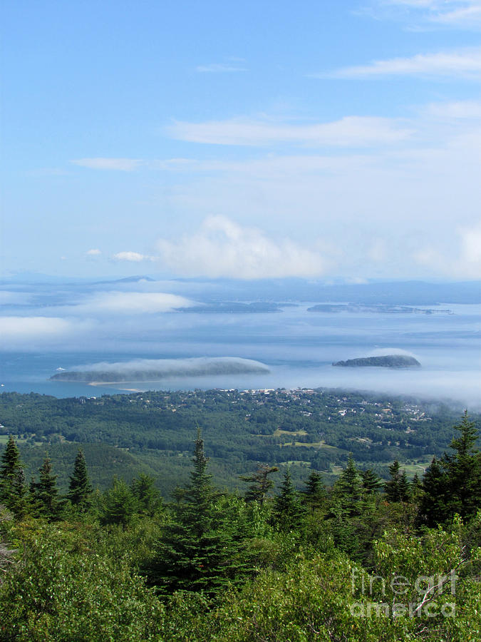 Acadia National Park Photograph - Picture Perfect #1 by Elizabeth Dow