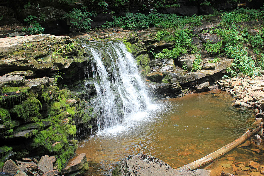 Pictures of Waterfall Ricketts Glen State Park PA #1 Photograph by Susan Jensen