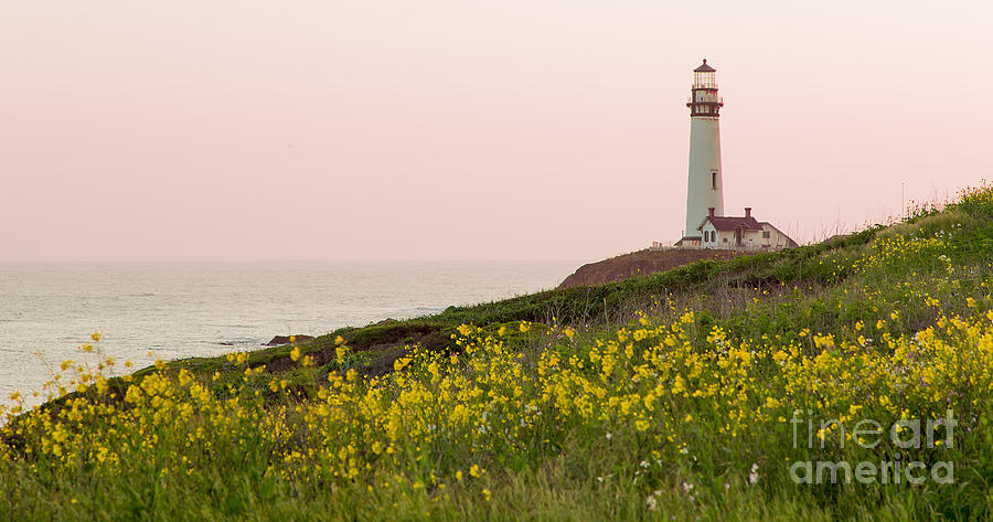 Pigeon Point in Spring #1 Photograph by Theresa Ramos-DuVon