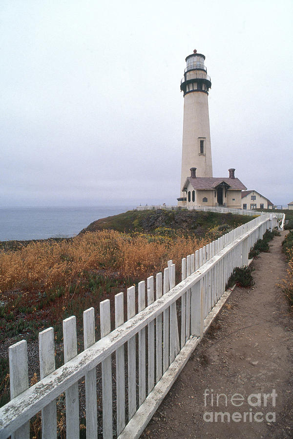Pigeon Point Lighthouse #1 Photograph by Bruce Roberts