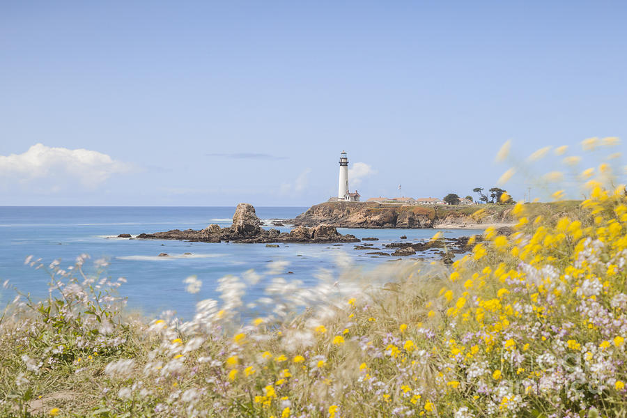 Spring Photograph - Pigeon Point Lighthouse California #1 by Colin and Linda McKie