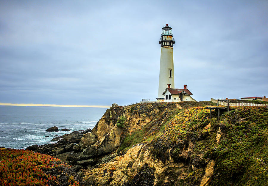 Pigeon Point Lighthouse #1 Photograph by Randy Wehner