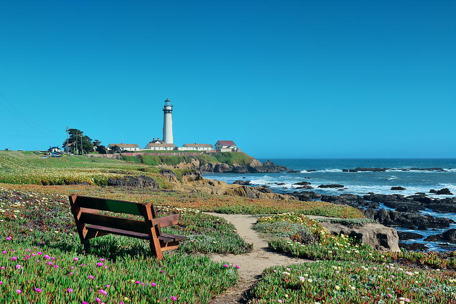 Pigeon Point lighthouse  #1 Photograph by Songquan Deng