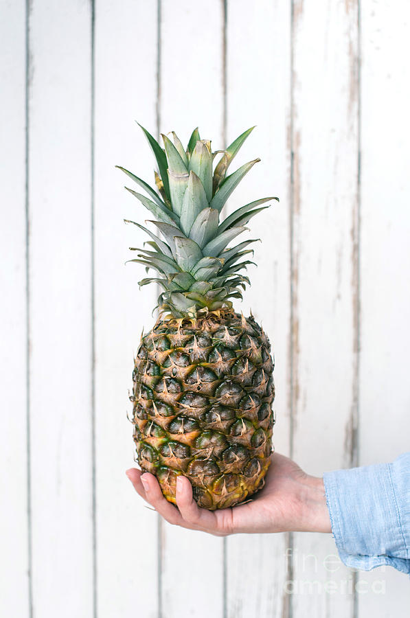 Pineapple #1 Photograph by Viktor Pravdica