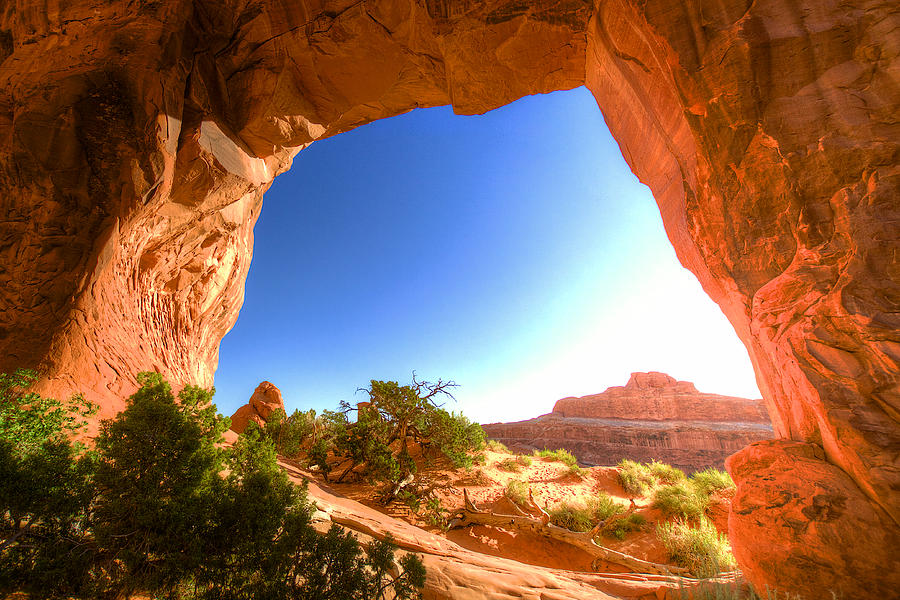 Desert Photograph - Pinetree Arch #1 by William Wetmore