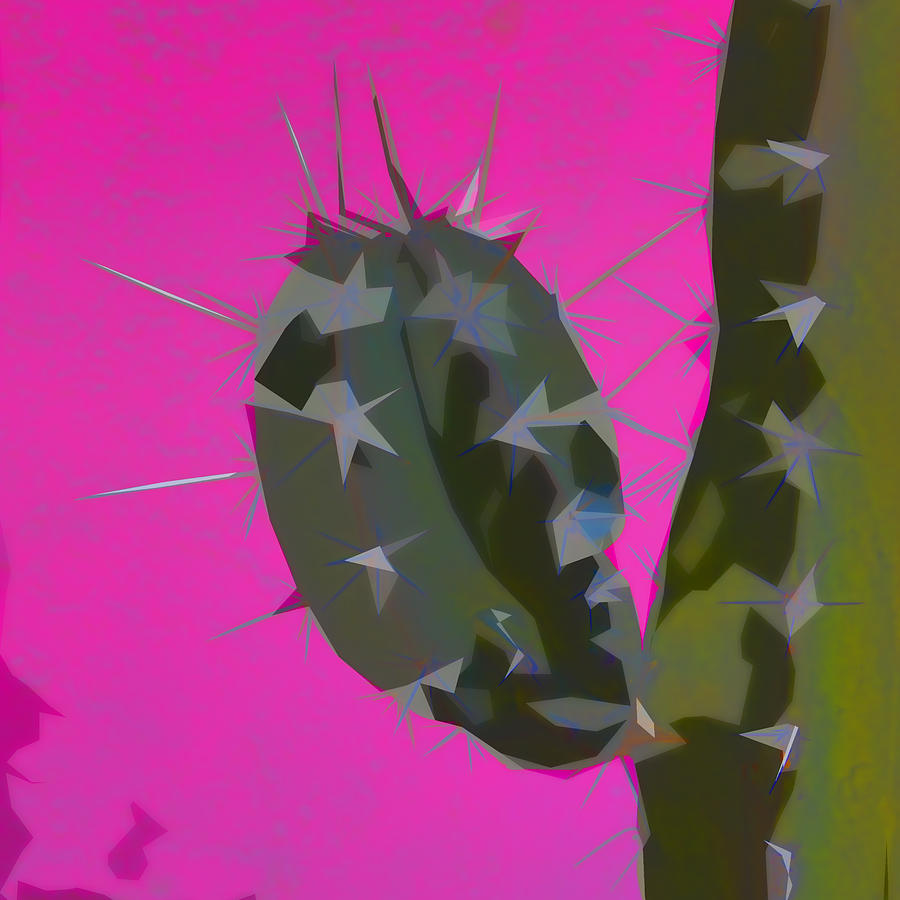 Cactus Photograph - Pink and Green Cactus Collage #1 by Carol Leigh