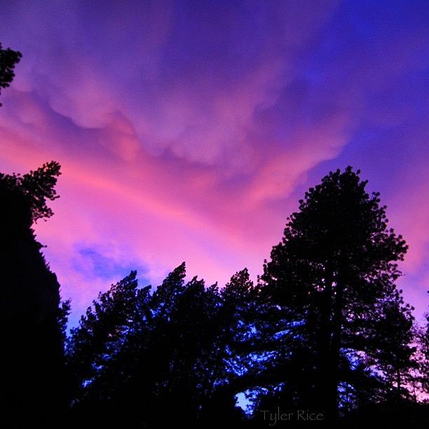 Pink Clouds || Yosemite National Park | #1 Photograph by Tyler Rice
