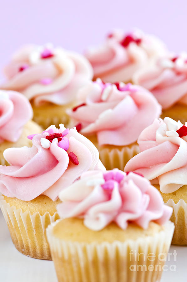 Cake Photograph - Pink Cupcakes 1 by Elena Elisseeva
