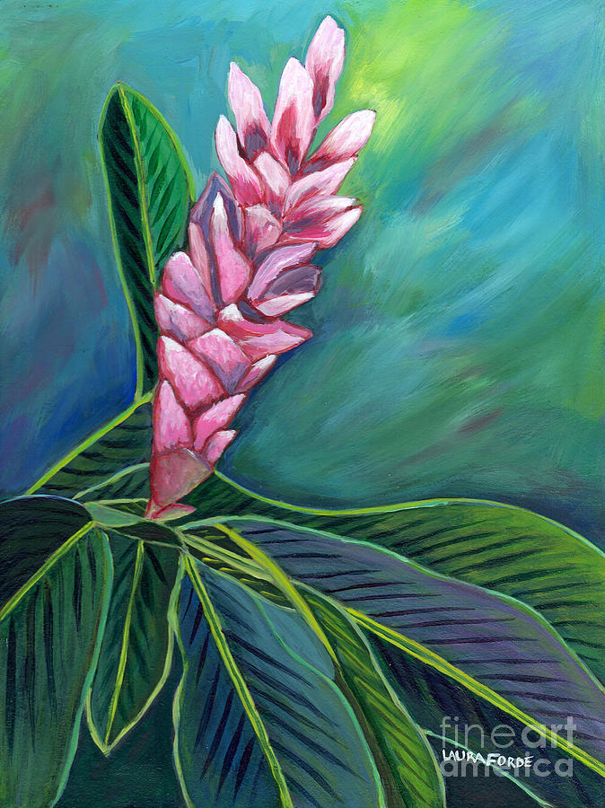 Pink Ginger Lily Painting by Laura Forde