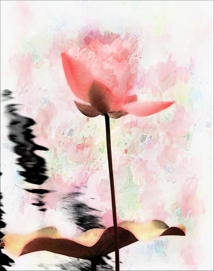 Pink Lotus by Carol Kinkead Pink Lotus by Carol Kinkead