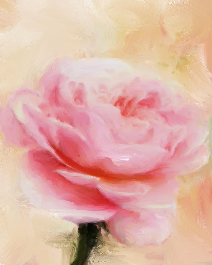 Pink Rose Painting by Jai Johnson