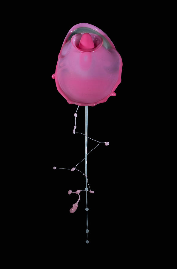 Pink rose #1 Photograph by Jaroslaw Blaminsky