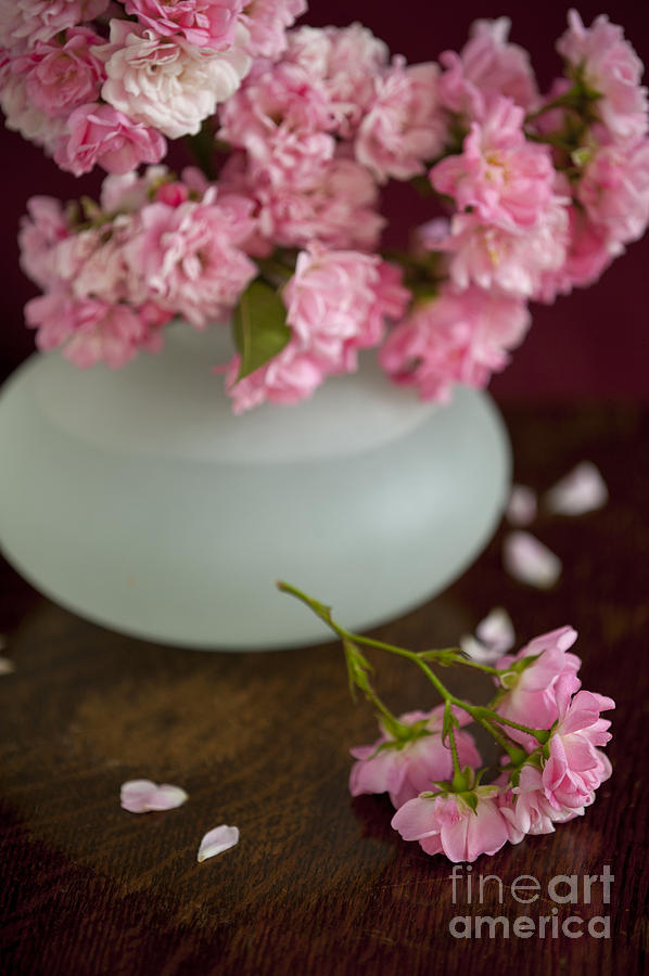 Pink Roses In A Vase With Fallen Sprig And Scattered Petals #1 Photograph by Lee Avison