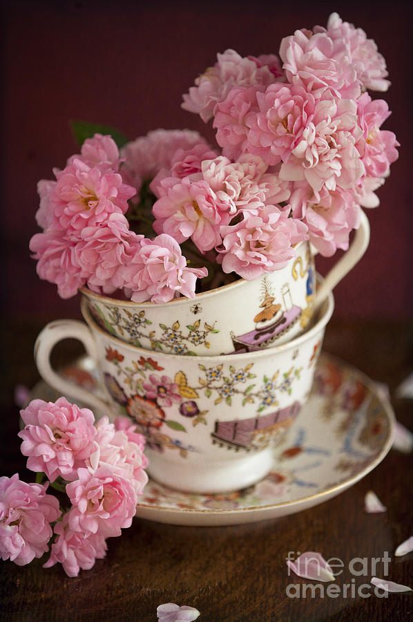 Pink Roses In Vintage China Tea Cups #1 Photograph by Lee Avison
