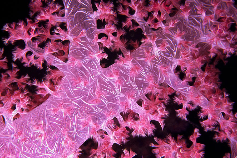 Pink Soft Coral #2 Digital Art by Roy Pedersen