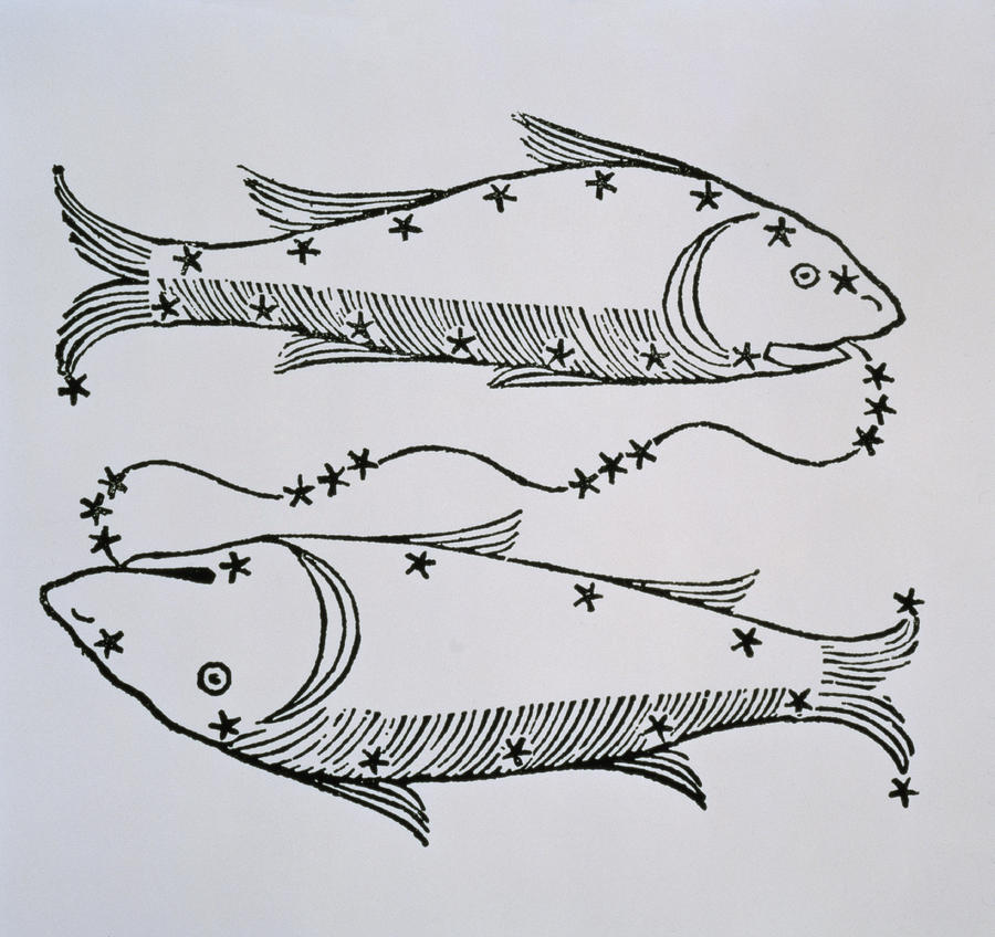 Sign Drawing - Pisces by Italian School