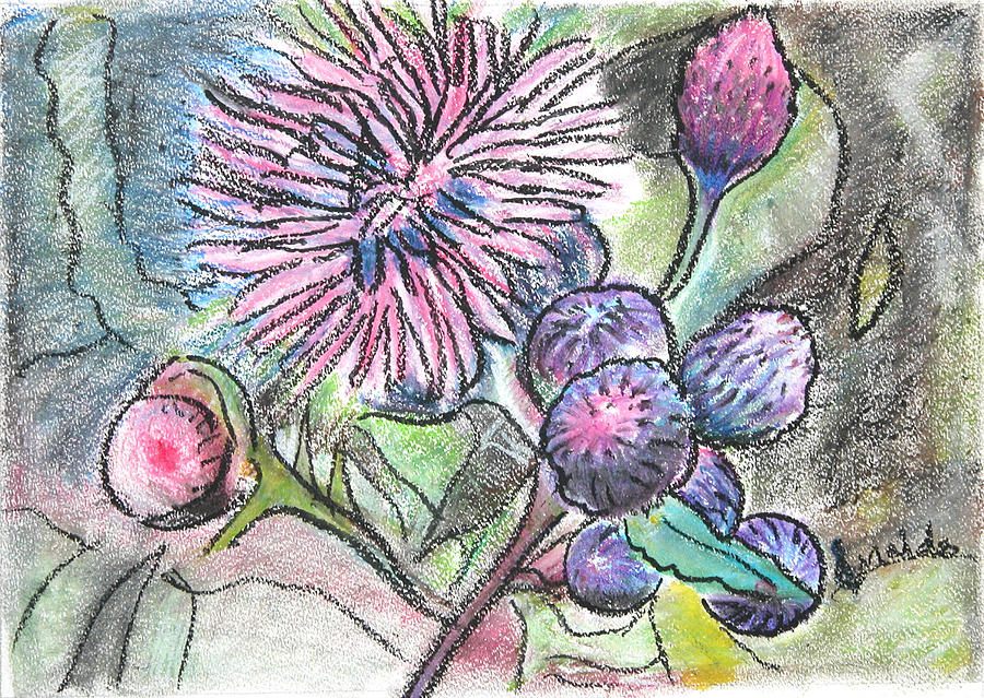 Purple Flower Pastel - Pitchers Thistle #1 by Lazaro Giraldo Lee