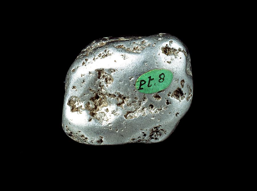 London Photograph - Platinum Nugget #1 by Natural History Museum, London/science Photo Library