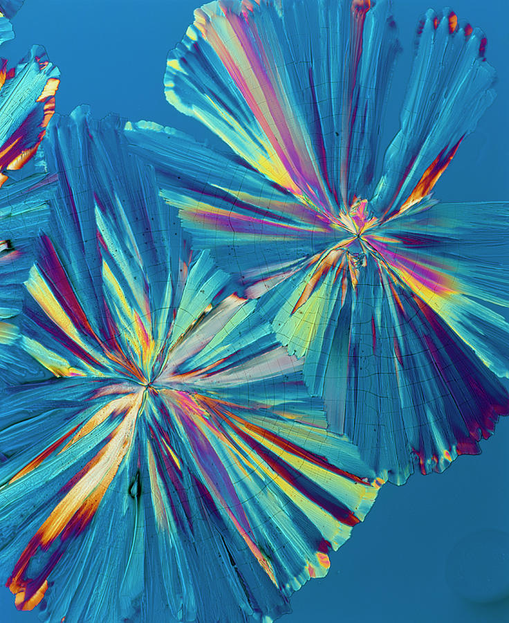 Plm Of Crystals Of The Hormone Adrenaline #1 Photograph by Alfred Pasieka/science Photo Library