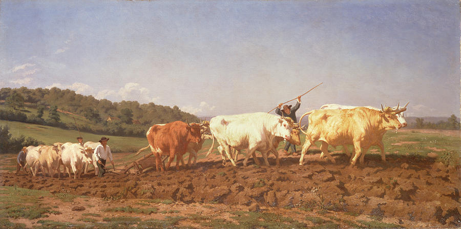 Ploughing In The Nivernais, 1850 Painting by Rosa Bonheur | Pixels