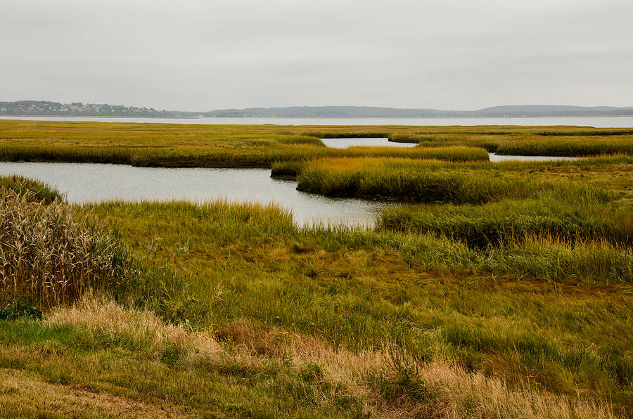 Plum Island Marshes In Autumn 1 Photograph