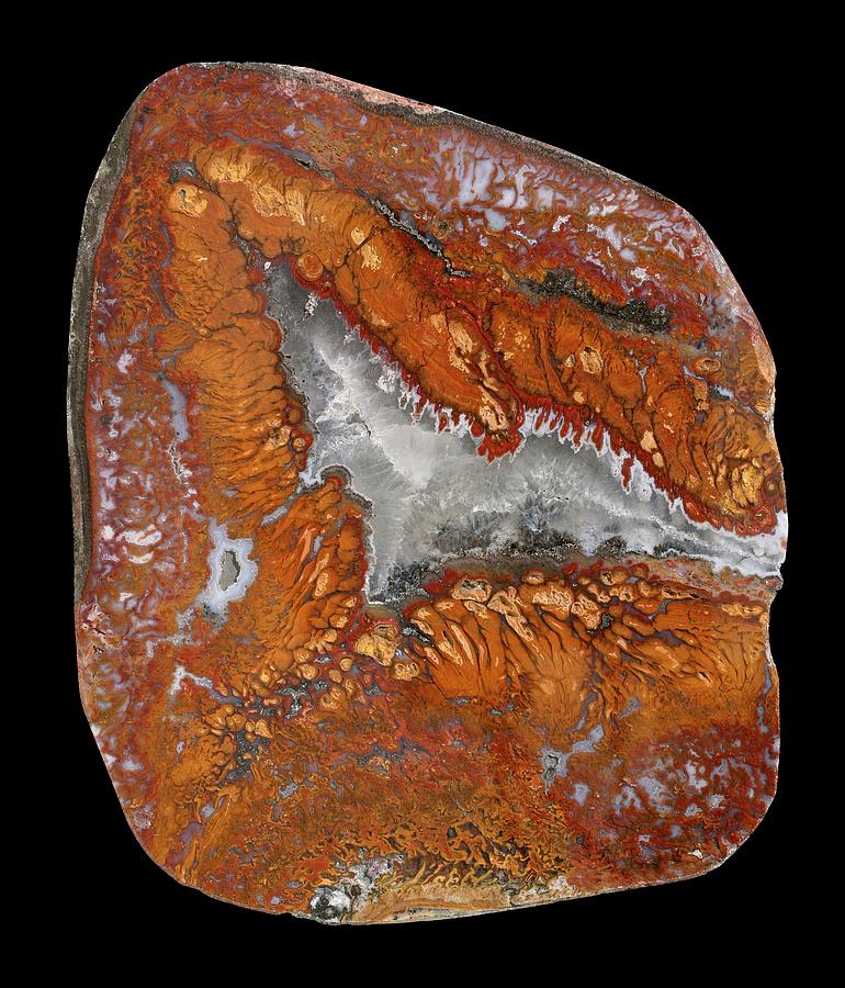 Plume Agate #1 Photograph by Natural History Museum, London/science Photo Library