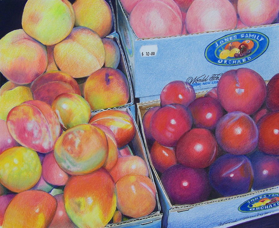 Peach Mixed Media - Plums and Peaches #1 by Constance Drescher