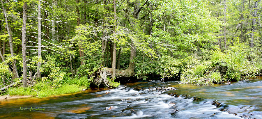 Pocono Mountain Stream in Summer Pennsylvania Photograph by A Macarthur ...