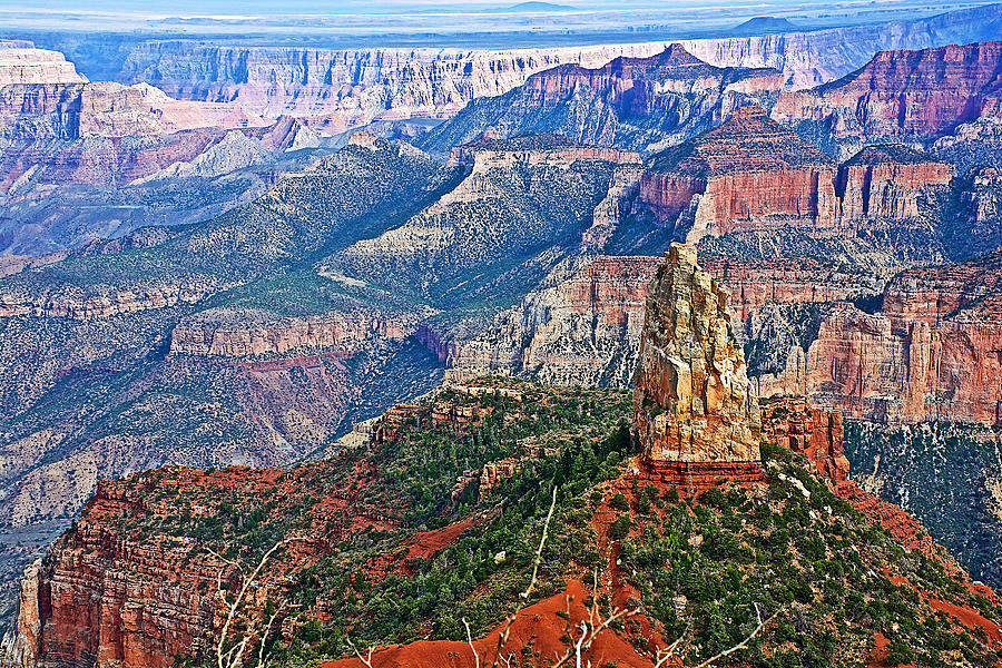 Grand Canyon National Park Photograph - Point Imperial 8803 feet on North Rim of Grand Canyon National Park-Arizona  #1 by Ruth Hager
