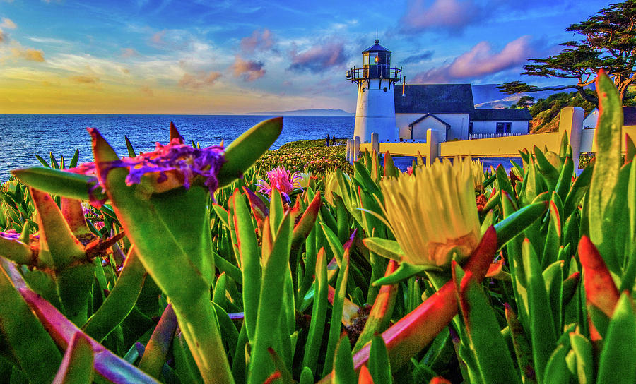 Point Montara Lighthouse At Coast #1 Photograph by Panoramic Images