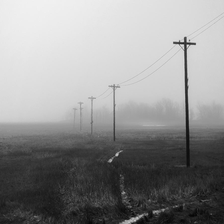 Poles across the marsh #1 Photograph by Stoney Stone