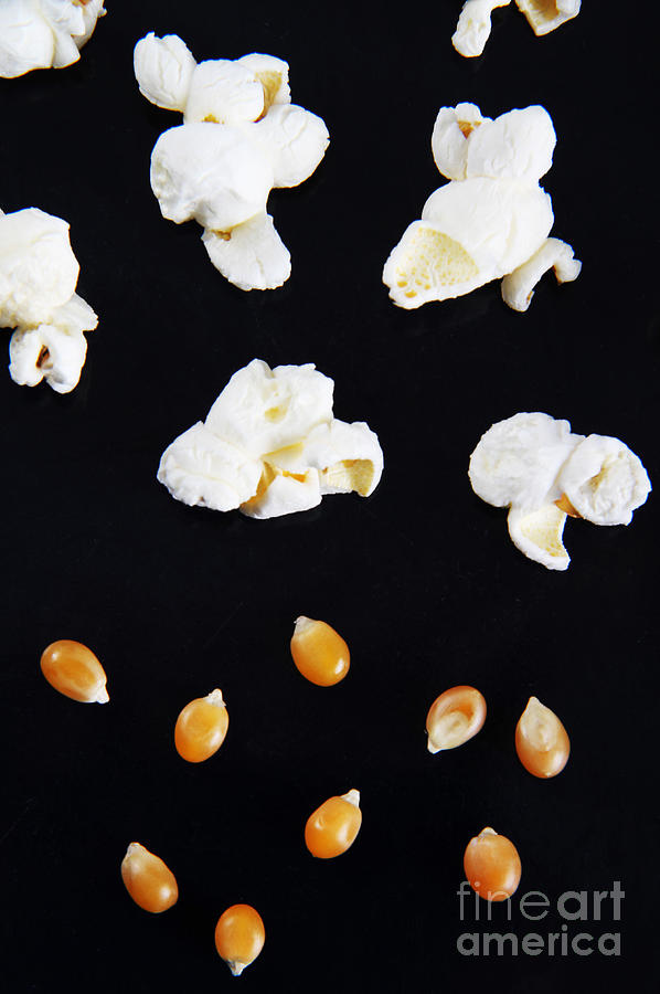 Popcorn #1 Photograph by Photo Researchers, Inc.