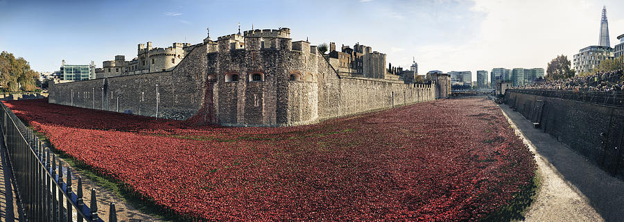 Poppies at Tower Of London by Adrian Brockwell Poppies at Tower Of London by Adrian Brockwell