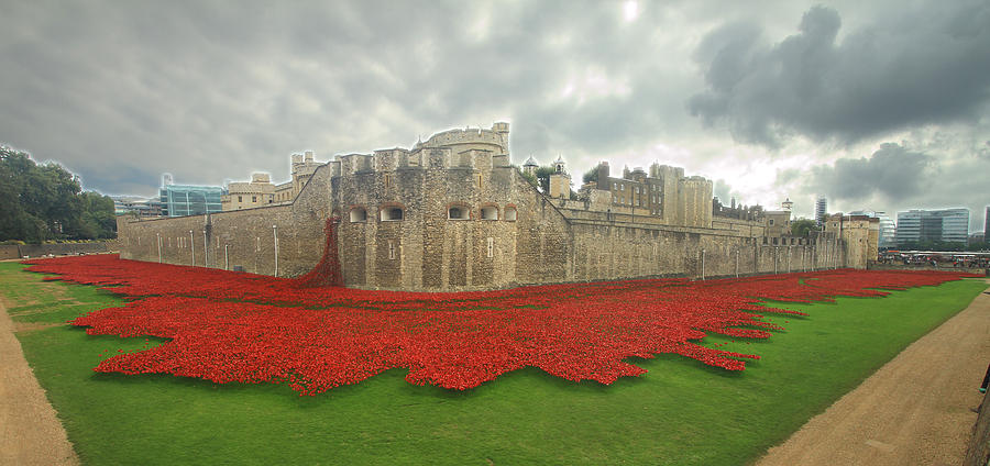 Poppies Tower of London collage #1 Photograph by David French