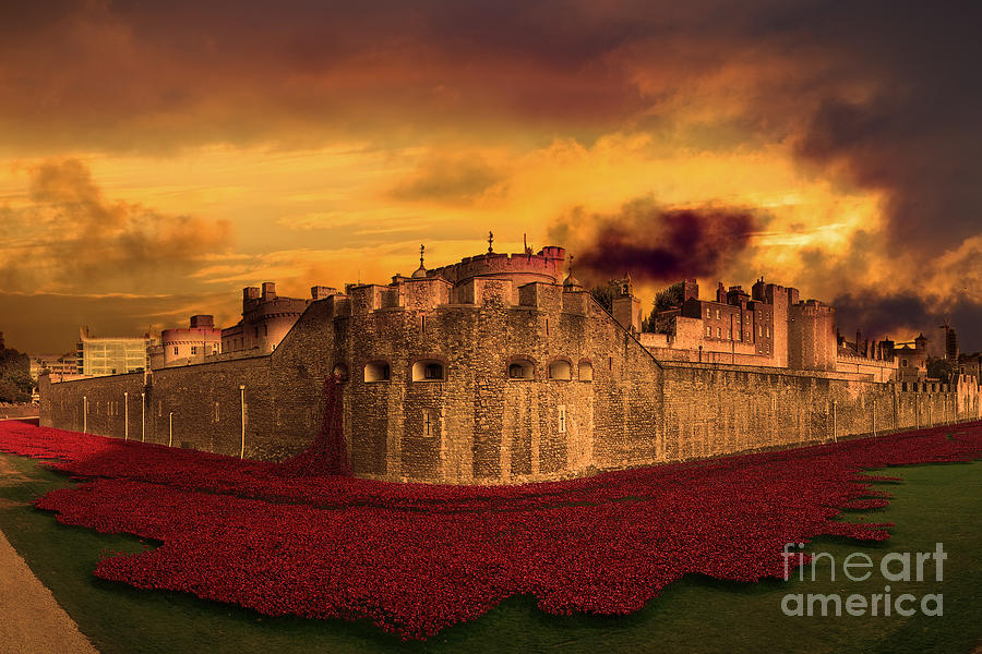 Poppies Tower of London  Digital Art by Airpower Art