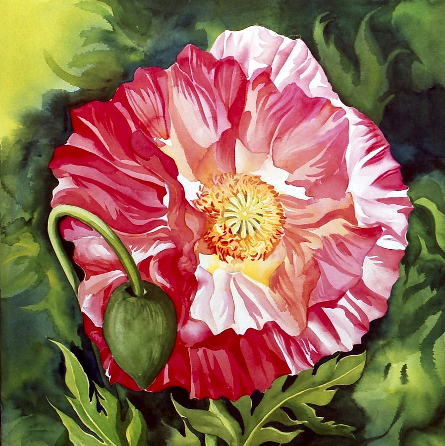 Poppy Watercolor Painting by Alfred Ng