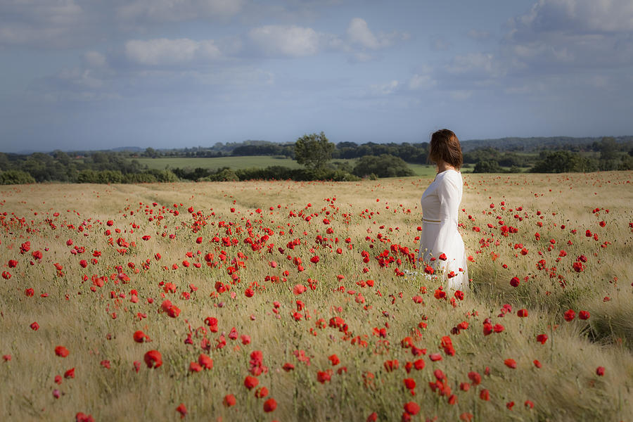 Poppy Field Photograph by Maria Heyens