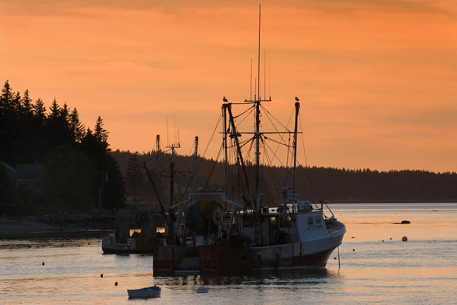 Port Clyde Maine Fishing Boats At Sunset #1 Photograph by Keith Webber Jr