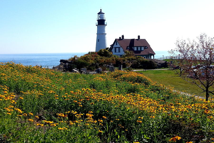 Portland Head Lighthouse Photograph by Jean Hutchison