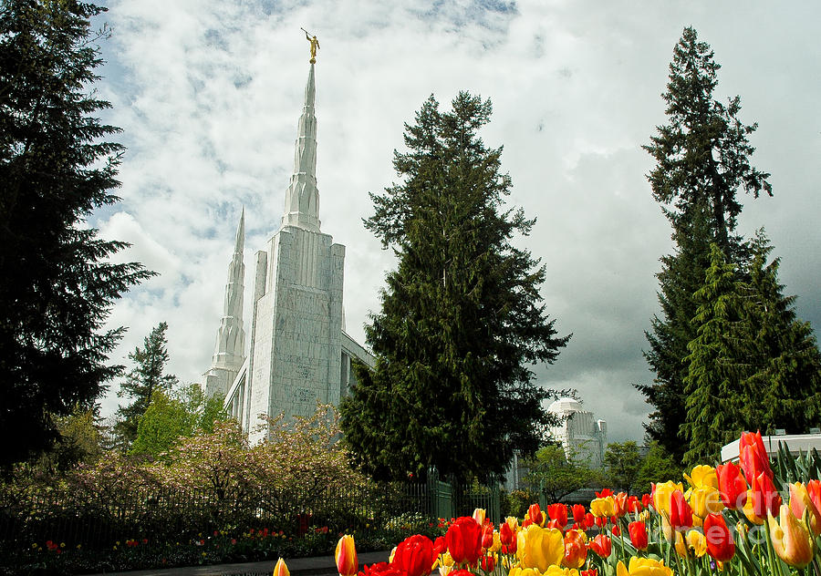 Portland Oregon LDS Temple #1 Photograph by Nick Boren