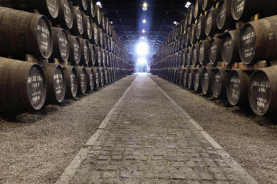 Porto Wine Cellar #1 Photograph by Vuk8691
