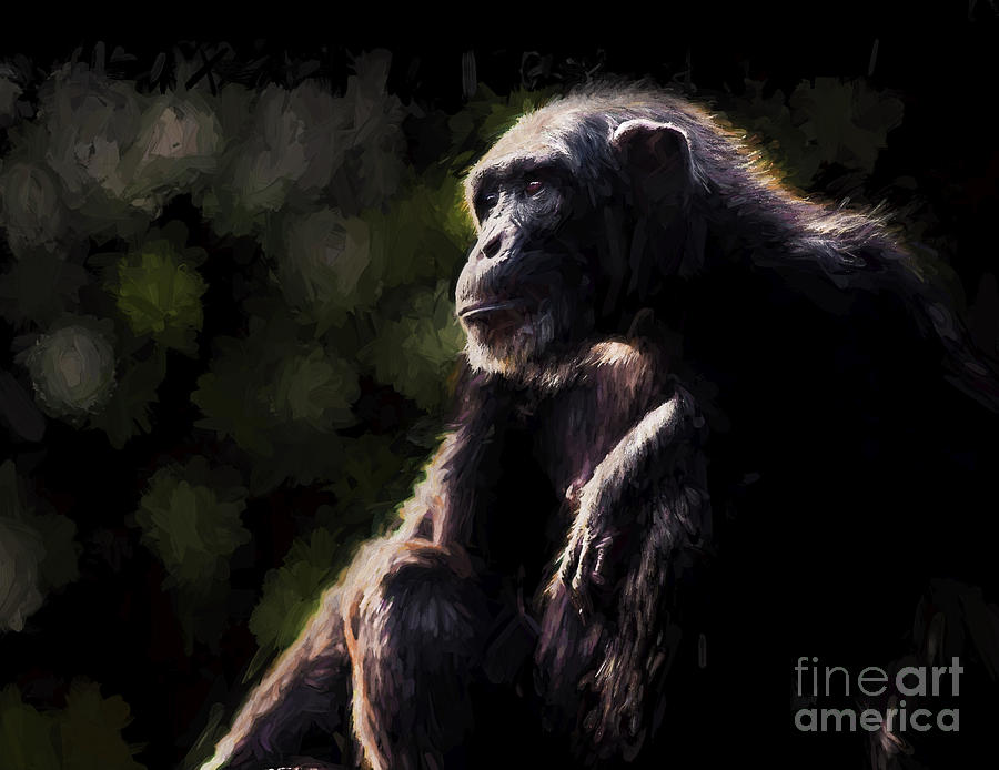 Portrait of a chimpanzee #3 Photograph by Sheila Smart Fine Art Photography