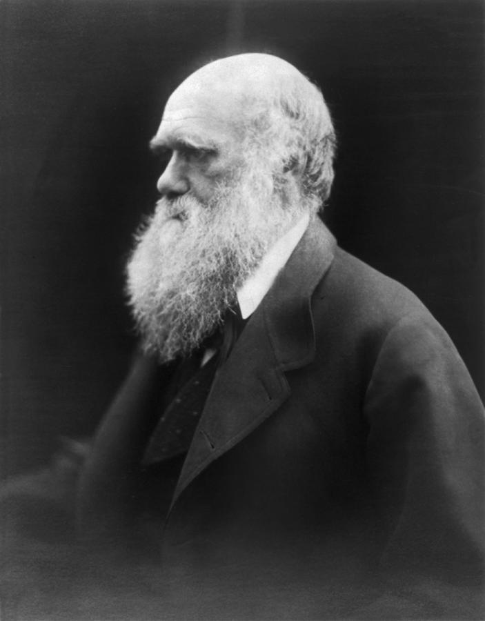 Portrait Of Charles Darwin Photograph by Julia Margaret Cameron - Fine ...