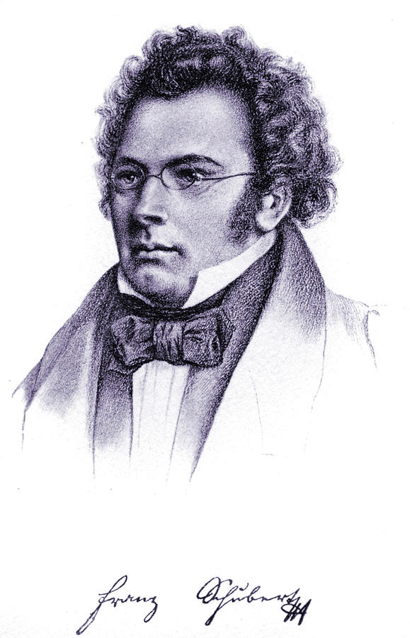 Music Drawing - Portrait Of The Composer Franz Schubert by English School