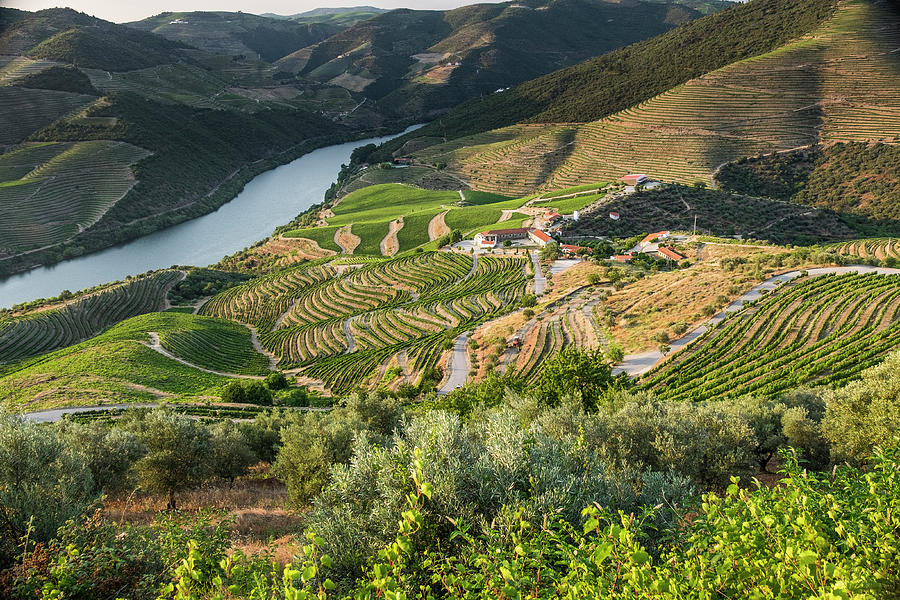 Landscape Photograph - Portugal, Douro Valley, Douro River #1 by Emily Wilson