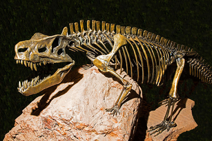 Postosuchus Dinosaur #1 Photograph by Millard H. Sharp