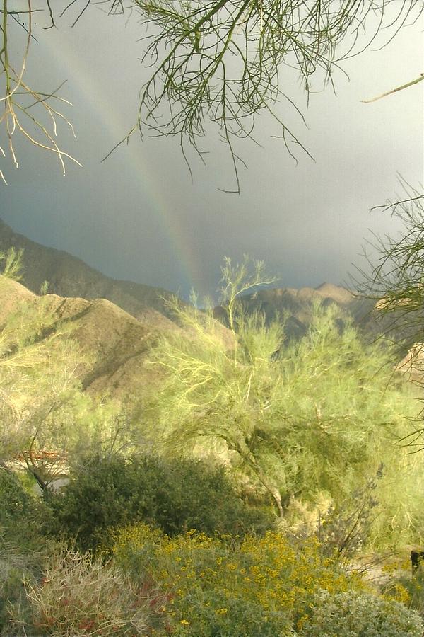 Pot of Gold #1 Photograph by Dody Rogers